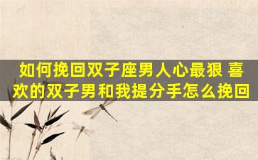 如何挽回双子座男人心最狠 喜欢的双子男和我提分手怎么挽回